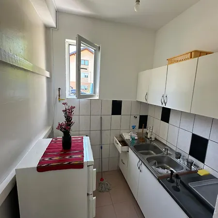 Large With Beautiful Garden 5 Minutes Away From Airport At Karla Mijica 31 Apartamento Sarajevo