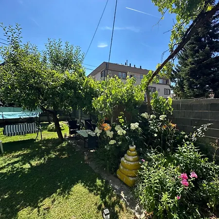 Large With Beautiful Garden 5 Minutes Away From Airport At Karla Mijica 31 塞拉耶佛
